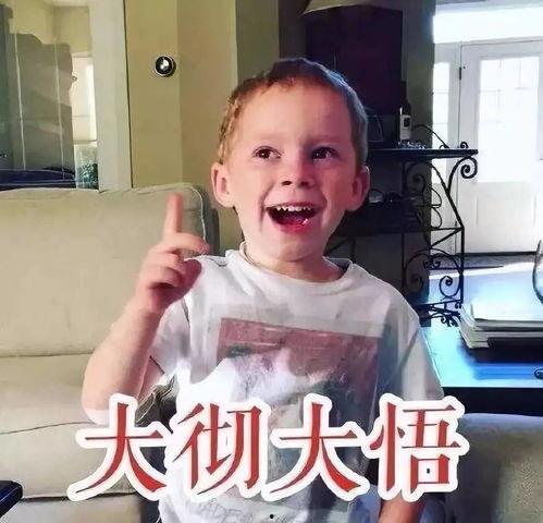 吃瓜表情包网红男,笑料横生的网络红人传奇  第2张