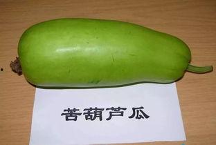 网红吃蒸葫芦瓜,美味与创意的完美融合  第1张