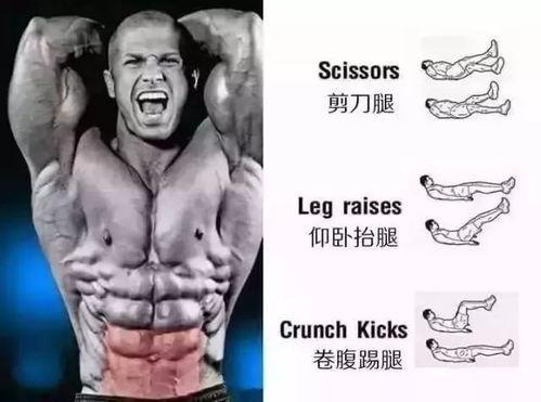 吃瓜网没腹肌的张张,吃瓜网上的腹肌“清流”