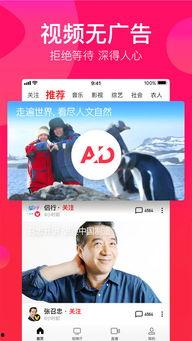 吃瓜娱乐疯子视频下载免费,轻松获取热门内容！  第3张