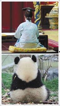 吃瓜群众争观娱乐圈,吃瓜群众围观大戏连连 第2张 吃瓜群众争观娱乐圈,吃瓜群众围观大戏连连 第2张