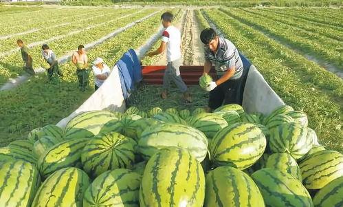 网红动感吃瓜图片 第2张 网红动感吃瓜图片 第2张