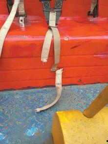 娱乐吃瓜酱安全带  第3张