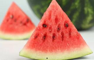 网红锦超吃瓜,揭秘网红圈幕后故事  第2张