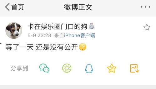 it爆料吃瓜说球,吃瓜说球，揭秘娱乐圈与体育圈的跨界风云  第1张