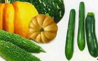 吃瓜网官方多少