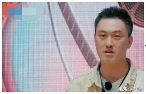 娱乐圈吃瓜小号是谁啊,揭秘神秘幕后推手 第3张 娱乐圈吃瓜小号是谁啊,揭秘神秘幕后推手 第3张