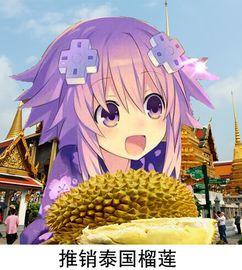 娱乐吃瓜酱小麒麟,小麒麟带你领略娱乐吃瓜界的风云变幻  第3张