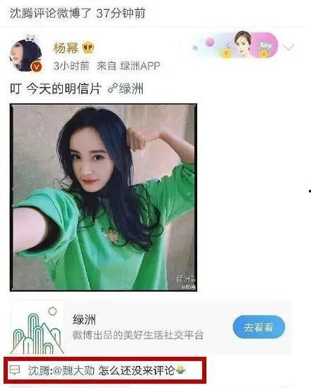 娱乐圈吃瓜小技巧,轻松掌握明星八卦,成为资深瓜民! 第2张 娱乐圈吃瓜小技巧,轻松掌握明星八卦,成为资深瓜民! 第2张