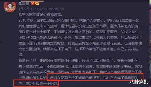娱乐圈吃瓜Excel,揭秘明星幕后故事与八卦风云  第2张