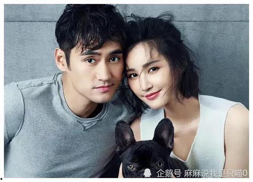 娱乐圈吃瓜爆料网剧有哪些  第3张