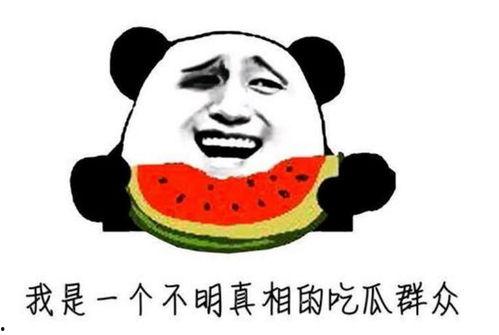 娱乐吃瓜名字大全男,揭秘那些独具特色的男星花名